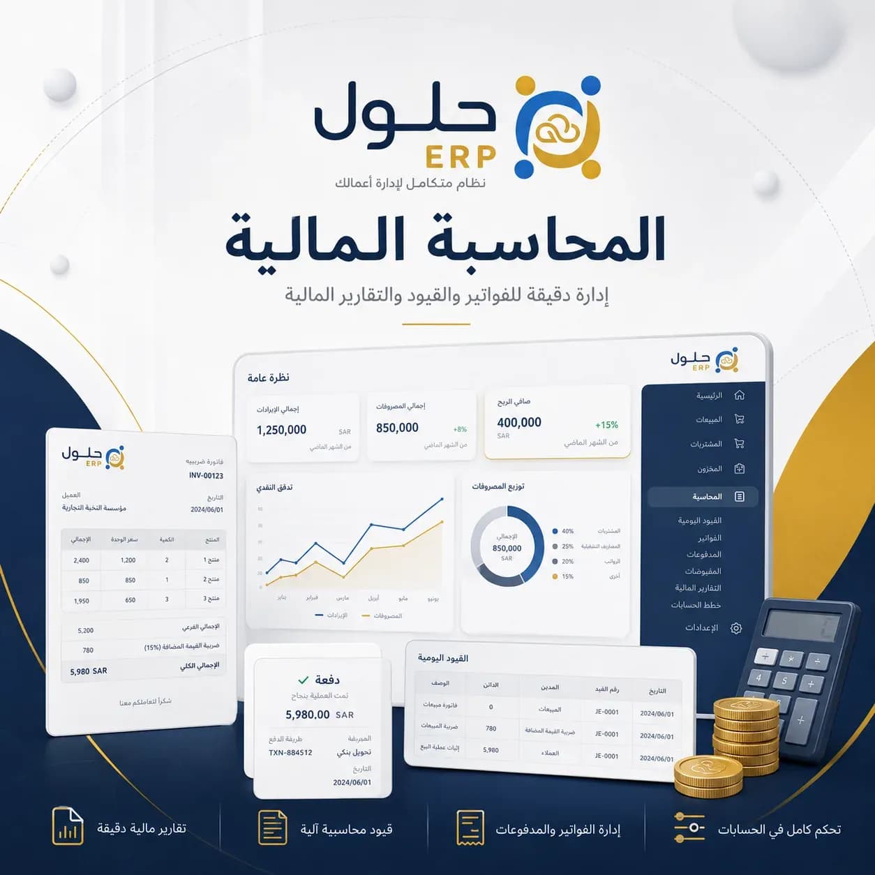 Financial Accounting in ERP: Unify Entries and Cash Flow Visibility
